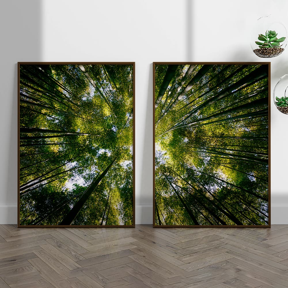 Kit Quadros Decorativos Natureza Árvores Vista