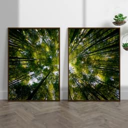 Kit Quadros Decorativos Natureza Árvores Vista