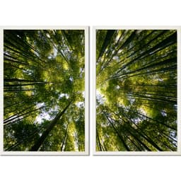 Kit Quadros Decorativos Natureza Árvores Vista